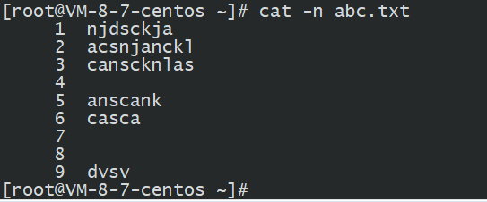 catn.png