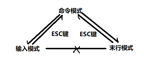 文本.png